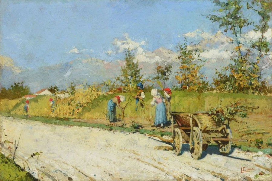 Le mietitrici